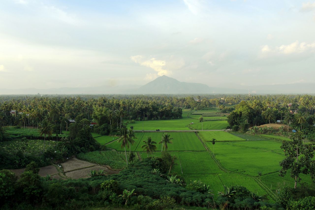Wisata Domestik